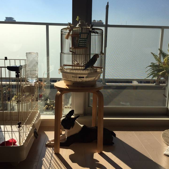 087afb9d 0bb8 4bec 8115 f6ec374c461c