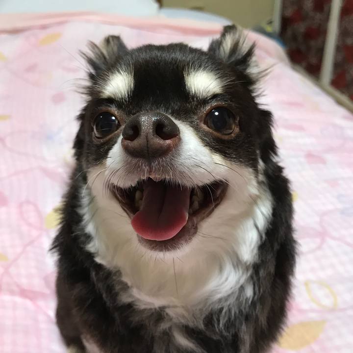 087b8e9f 62ad 4245 92b9 a7ce9960ca79