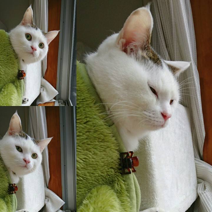 087beffc 6e6a 4841 93ac d8e511b83a88