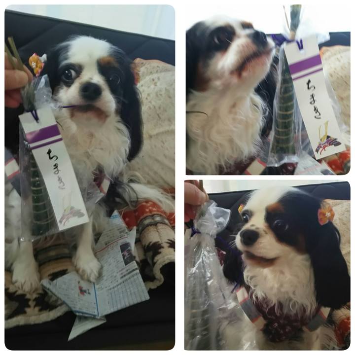 087c4393 a5b7 4154 a9ee 0cdc8dea99c4