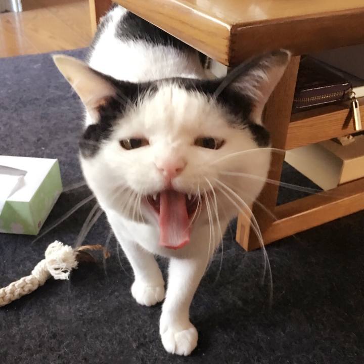 087c9367 4a18 4528 ac73 13dfeaad2d23