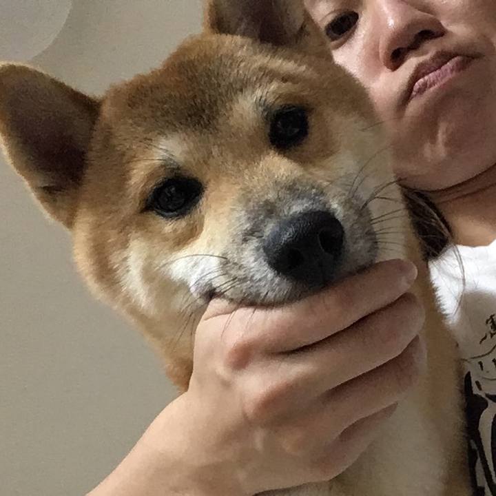 087cc40e 9ce8 4c9c b1b5 feacbcd20cc5