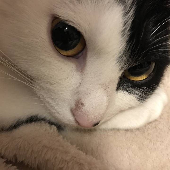 087cd8bf aa32 410e bf19 8aa4eb4a1f41