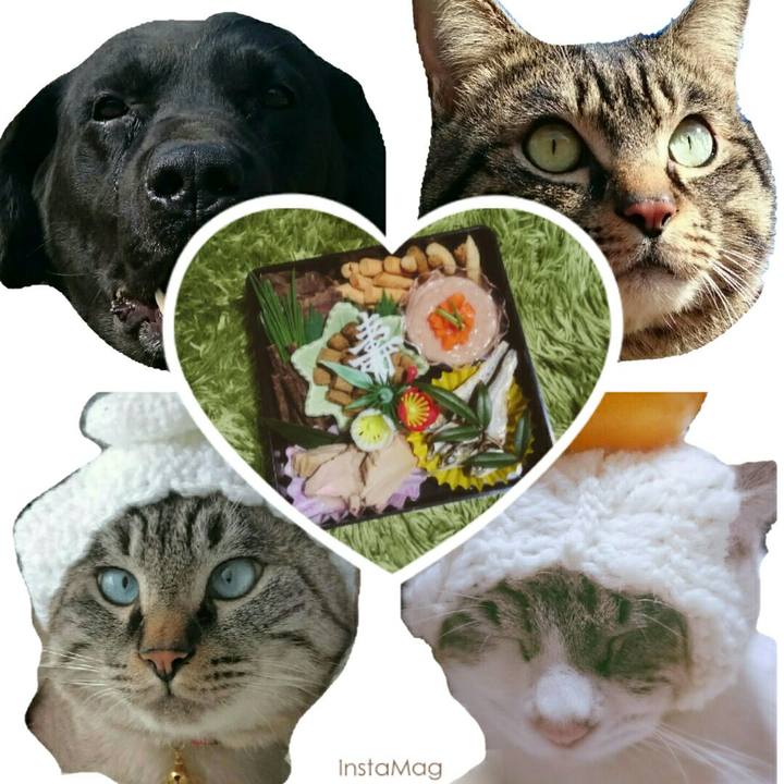 087dc0e4 5cd2 4d44 b5a6 b0c770bd1487