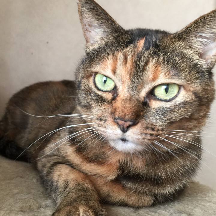 087e27a2 0338 422f 98ed b6554b0b13f9