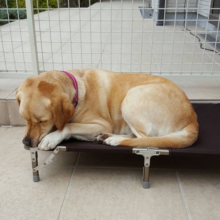 087e3a10 a65c 4a11 9e9f bff0edaffea4