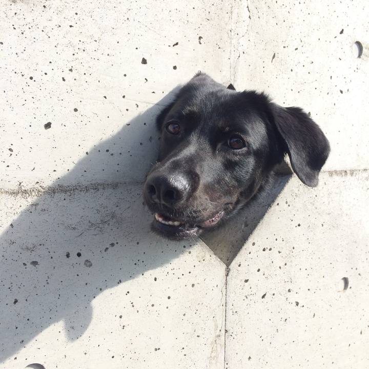 087e5d4f 431a 4426 8d9e 0a716dde9aa3