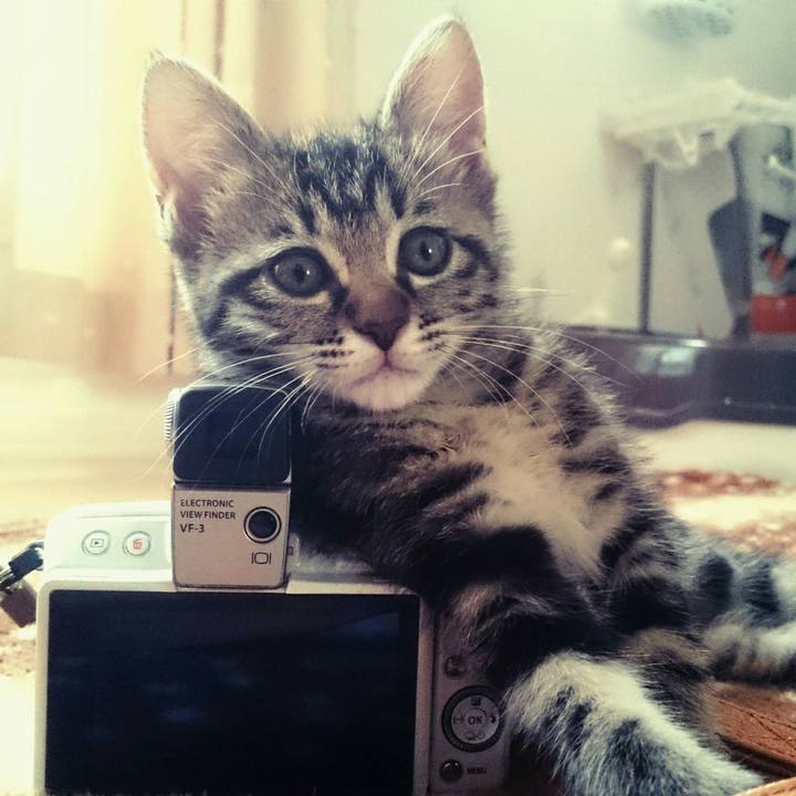 087e9e6f 462e 41be a1a6 1f18cfdfb1c3