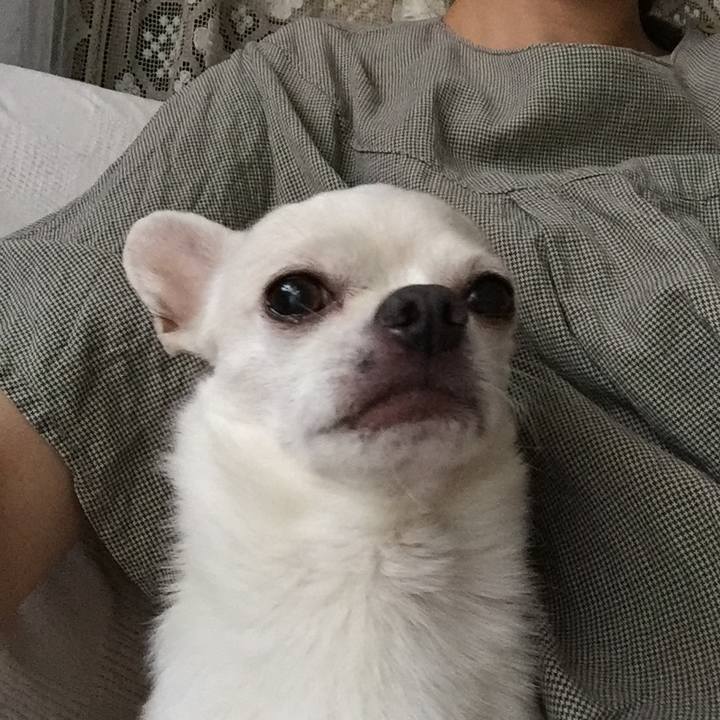 087ea628 1466 48f2 82ee bc377a36c597