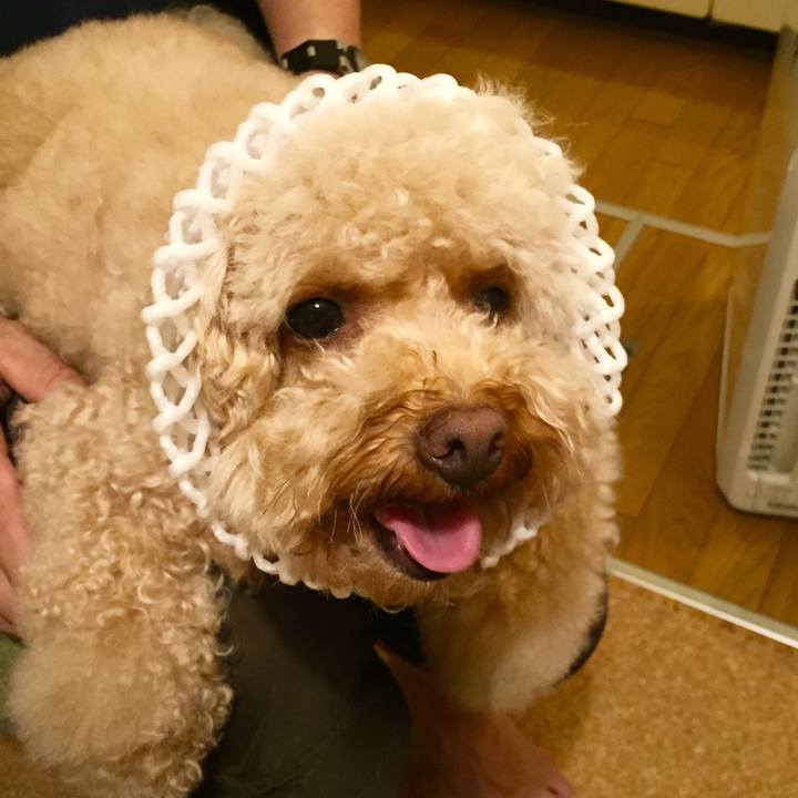 087f91b9 bb14 40bd bcfb f97f58cb4466