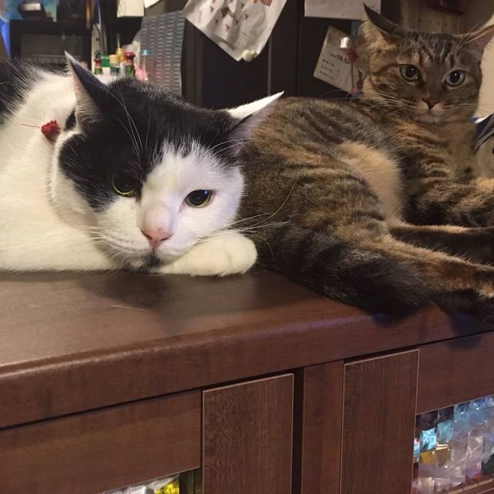 0880132a 1ed3 4a8a b1d2 0b0f70281ca1