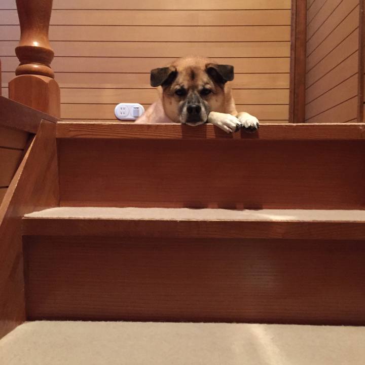 0880d271 610a 428d 8718 b9a16c5fd598