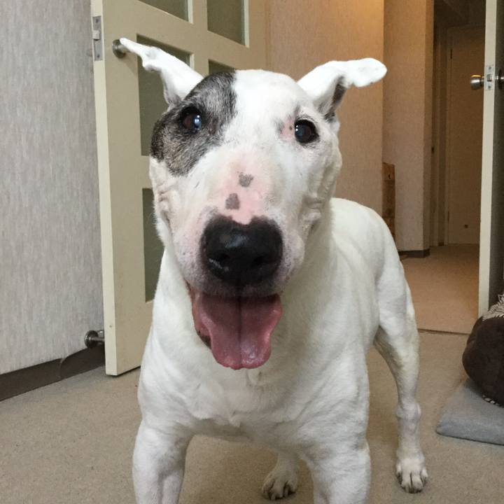 08814c8f 6361 4169 a9b2 cca960d1a245