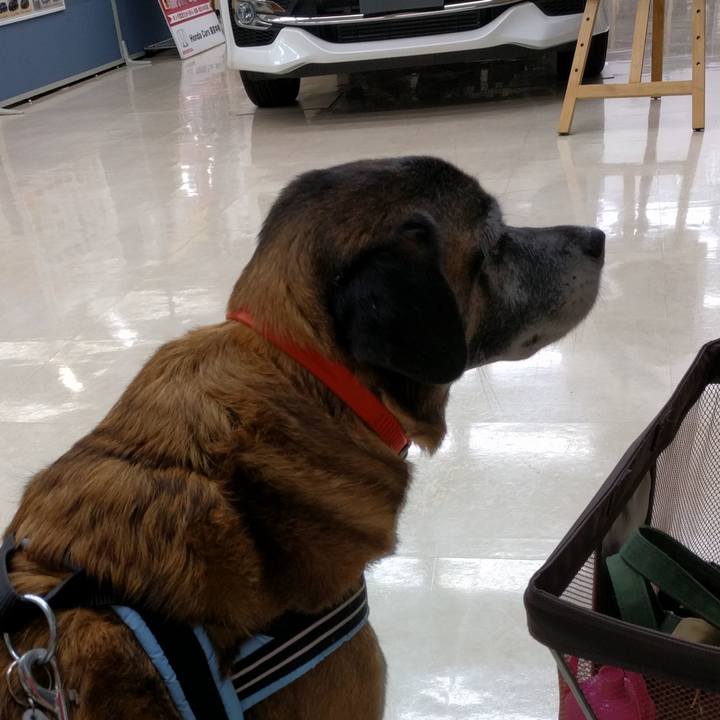 08814f2d 8a15 4eeb 9218 1888e8594fbe