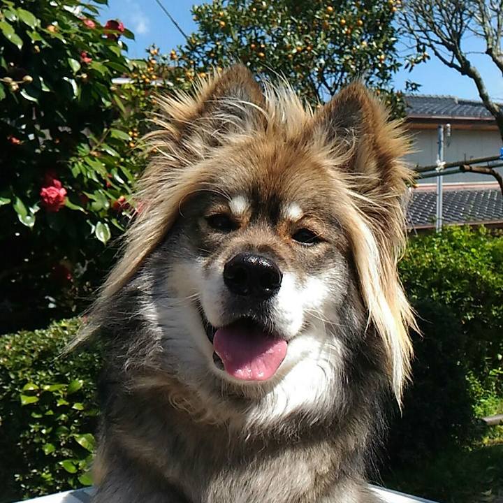 0881cf40 2720 4ff4 a7ce 721dfe2561cc