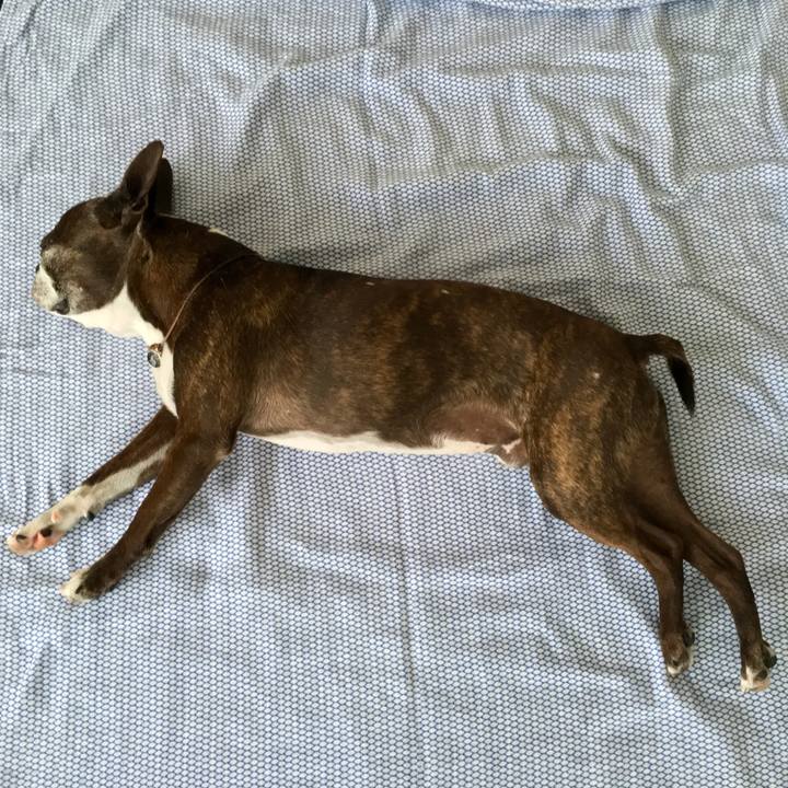 0881f452 ba2b 4c08 ac40 d2e5200d53ce