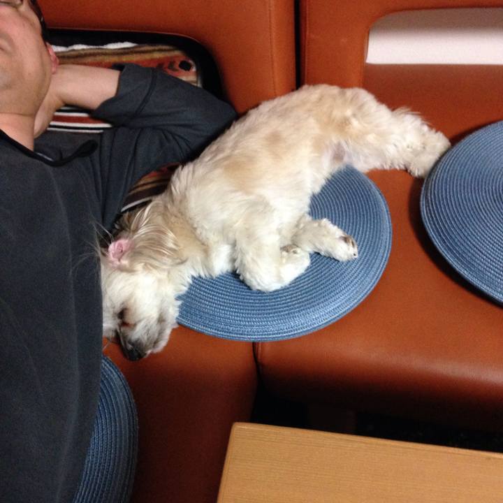 08820719 05e5 4936 ba68 12d5f93c4f2f