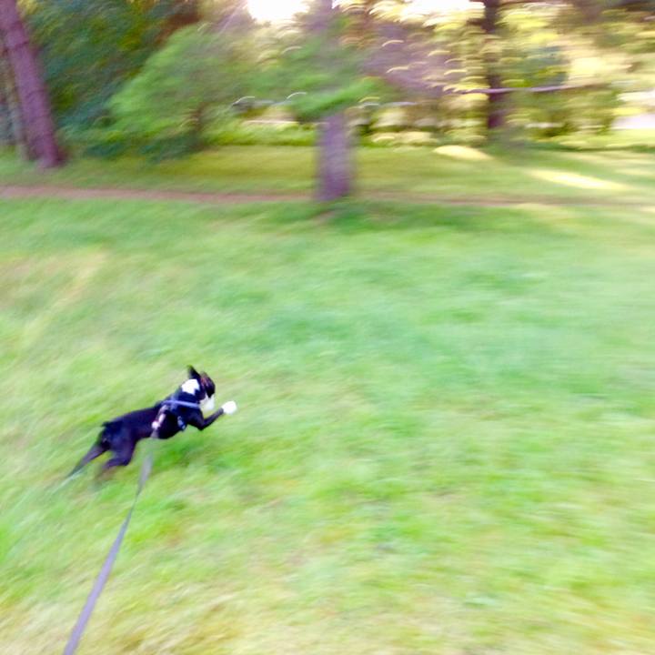 08825ccc 6f78 4867 a168 e61ec2afd1b2