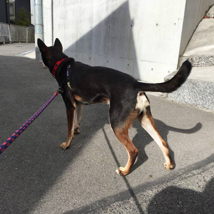 08829f4f 1b60 411a b85f da82a0a1ae41