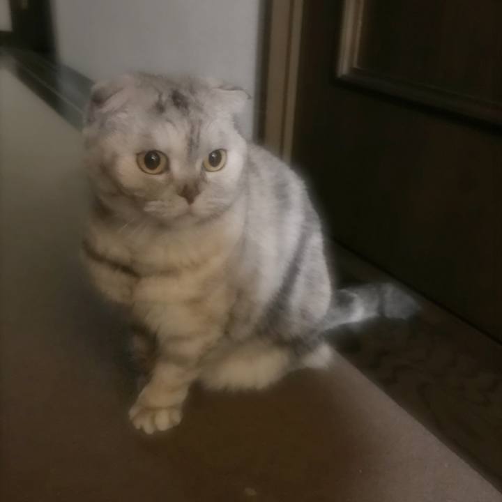 08829fd2 5d46 4717 8c31 554fa5bce2f0