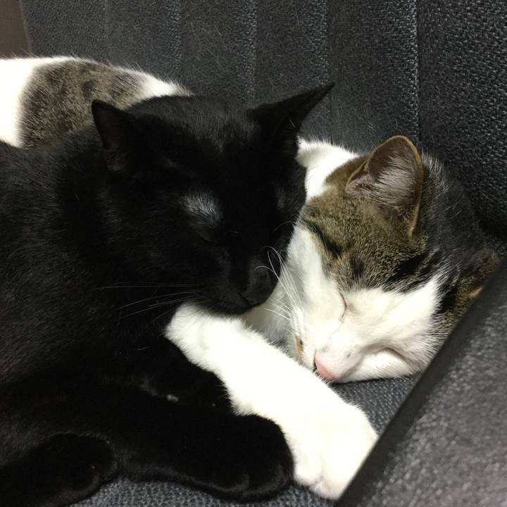 0882dcc3 49b8 474a 80c2 c7db82f0140f