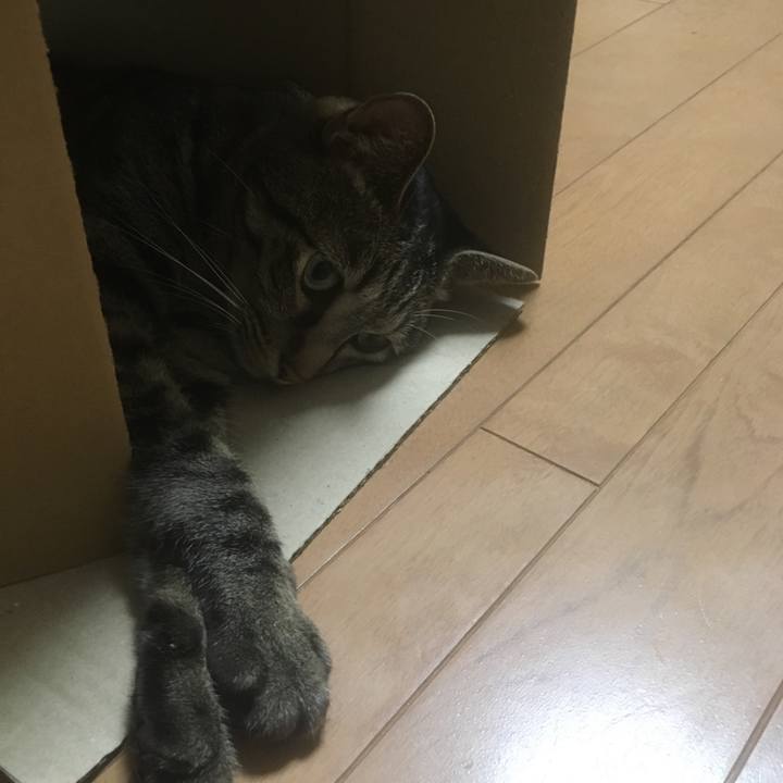 0882ed11 e3d7 482c b079 9c2552b97939