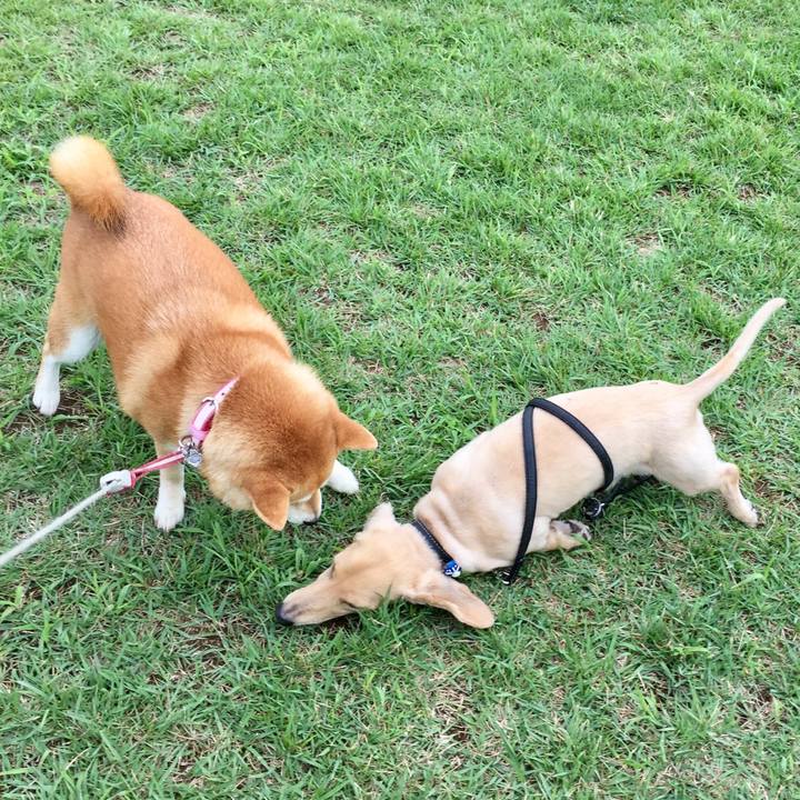 08834b61 670a 4e5c a319 96da1ca3399f