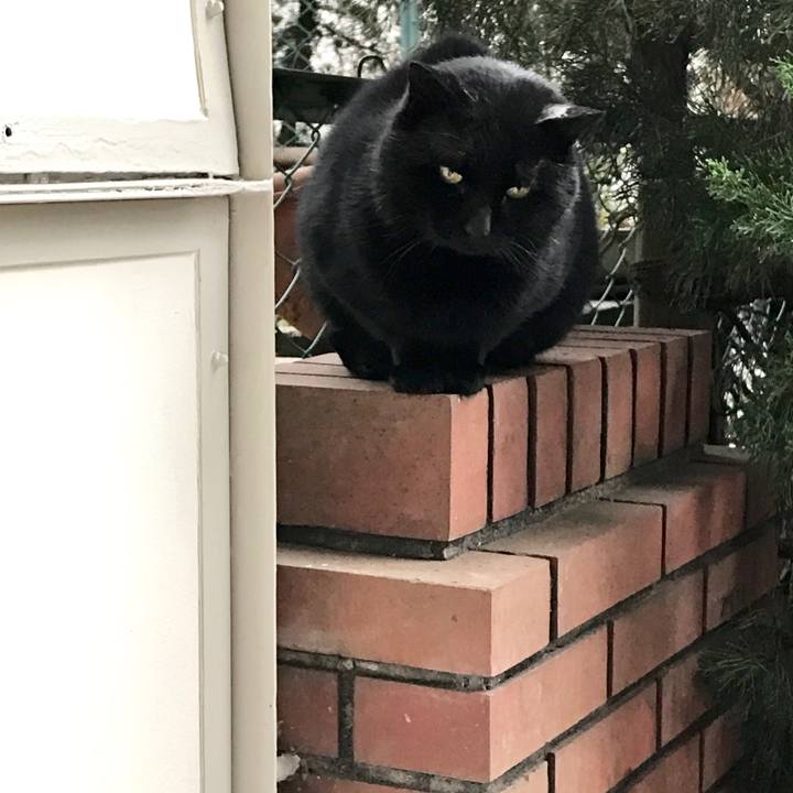 0883a3e7 3183 47de b424 b57832b498b5