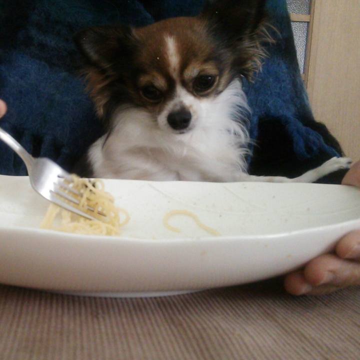 0884a2c5 e33c 48ac 9893 201fda4de21a