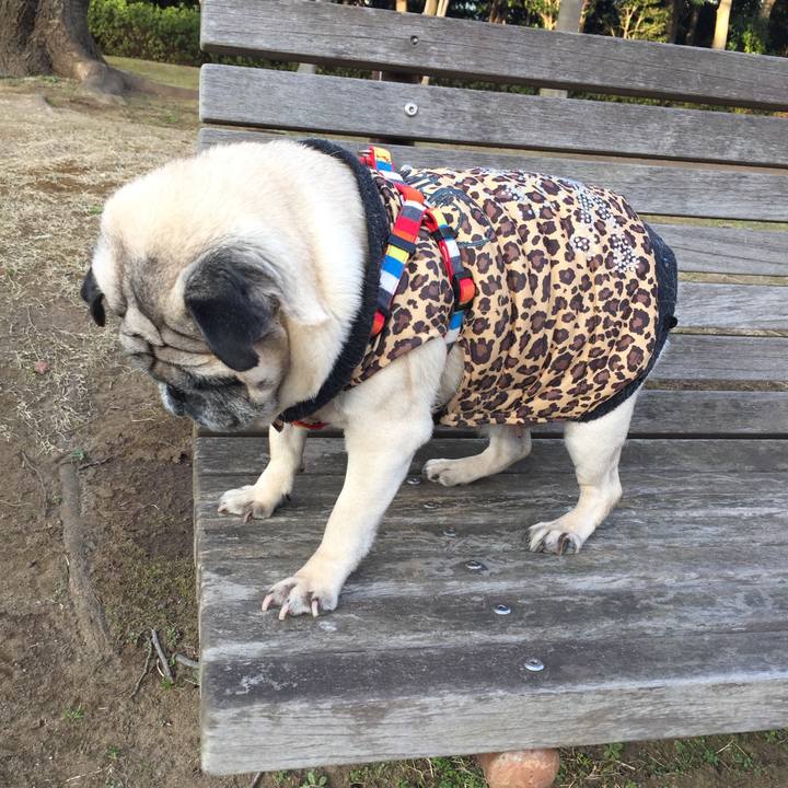 0884aa02 2b13 4b88 9e0a 284d54471565