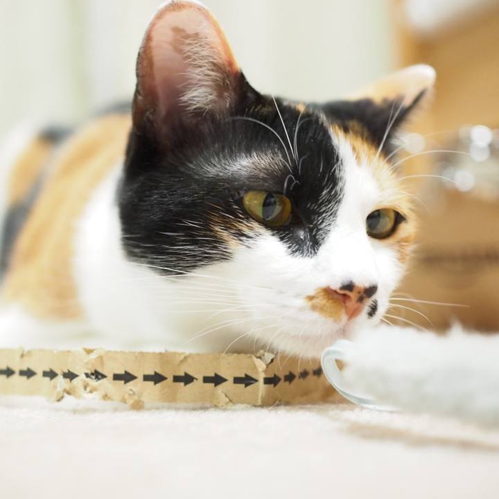 08852dd7 9b42 4401 a204 ea7744559a9e