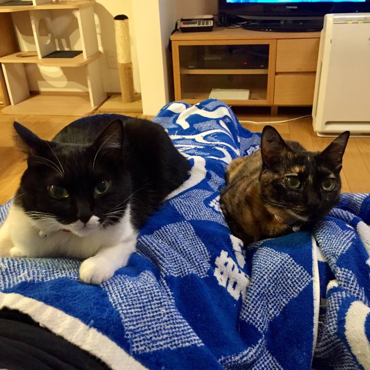 08862d28 1214 48a3 97b7 6f03f88139d9