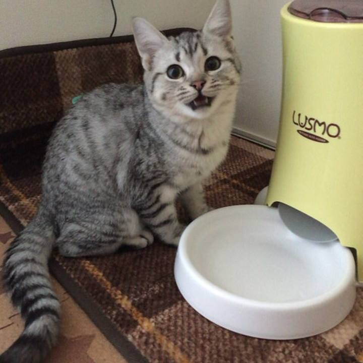 08862d31 bf46 44e0 a9c5 83b5a5033aa9