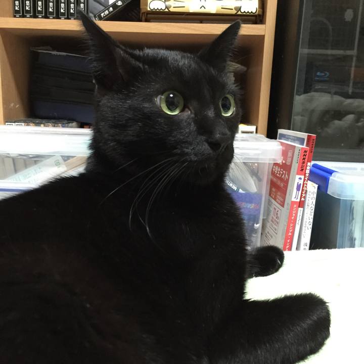 08869f0b 5306 4b66 8191 a22085f20aac