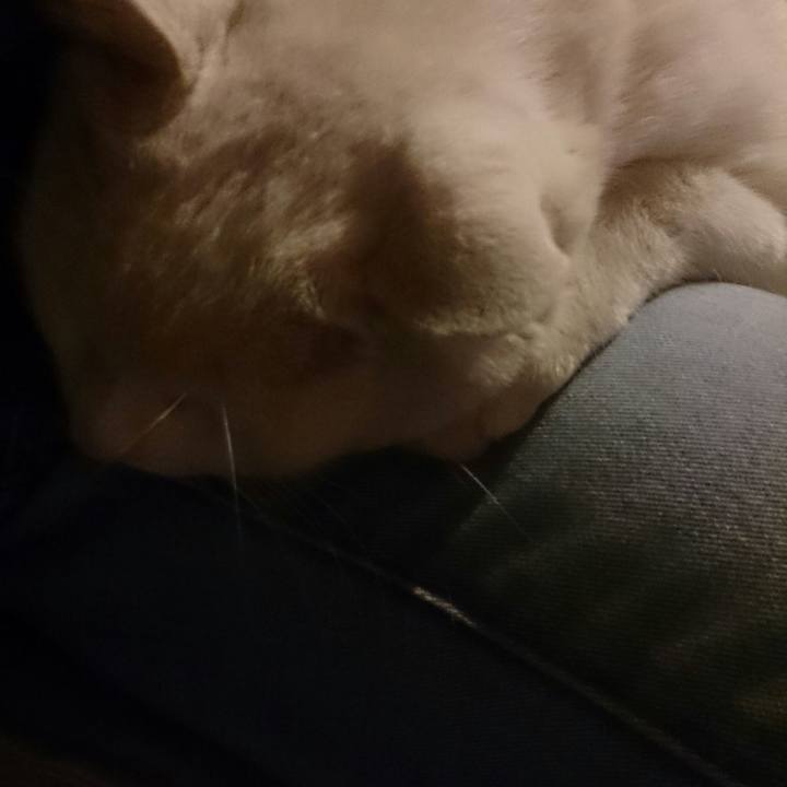 0886d03f 133b 47b5 bd94 92d41d1ad67e