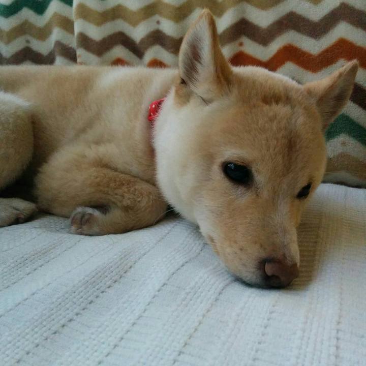 0886d811 43fb 45c6 83e9 e21cab2f3a3e