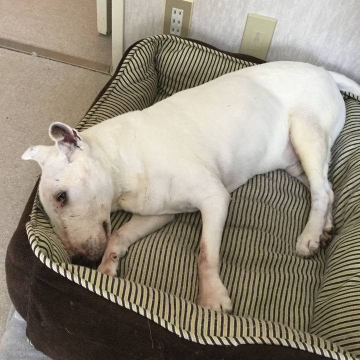 0886f896 daa3 4656 b5de bf9c44879b83