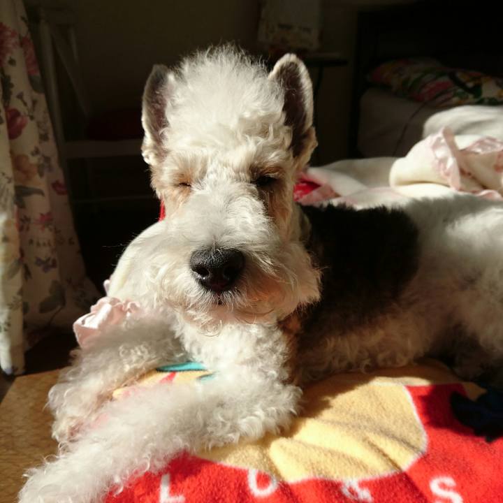 08882ff9 d8b1 40cf a422 82a0adf72135