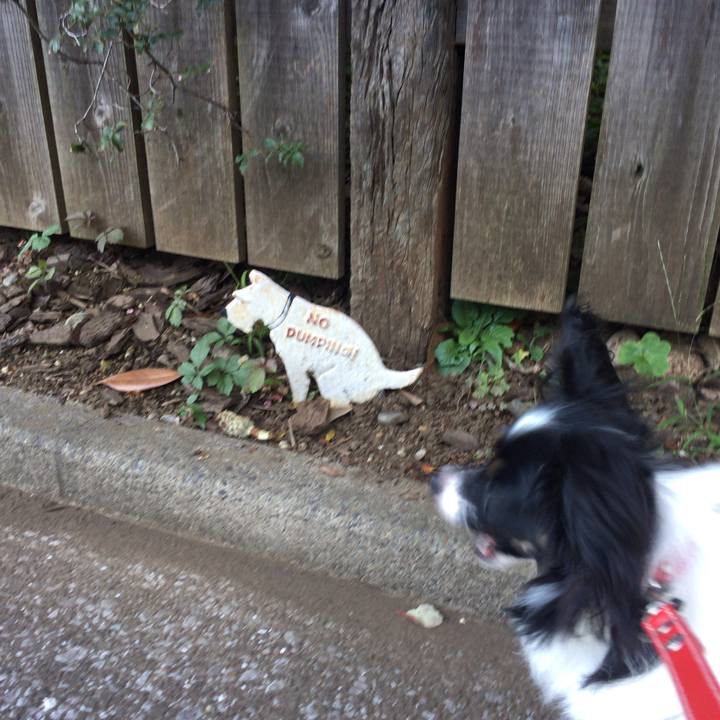 0888d3e3 9adb 4780 b3ab 000bc8194b00