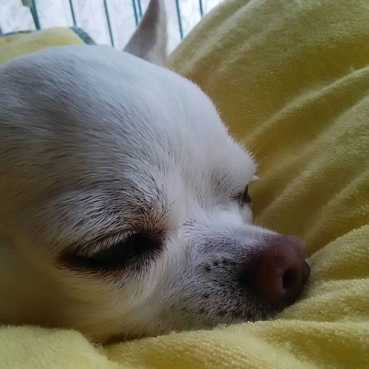 0888e974 5d84 4ecf b64b aba68e8205ef