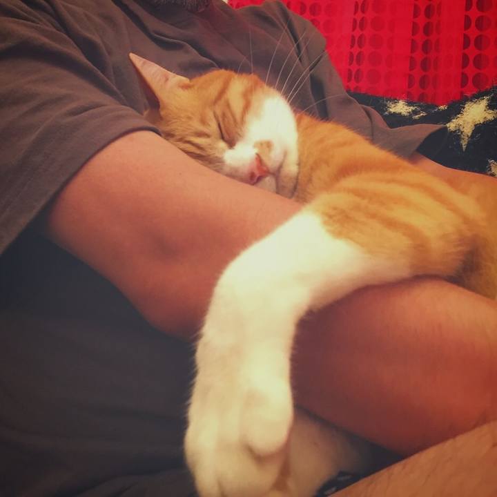 088948fd 53e5 4650 916f 4d6f3b3a1a2c