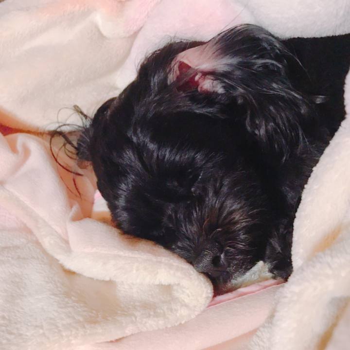 0889a5a9 6105 4cd9 8d0b 5bd2554662c5