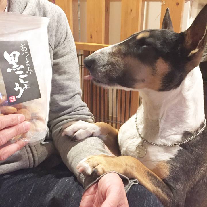 0889cc02 136e 47e9 8a36 efbb87a00bbc