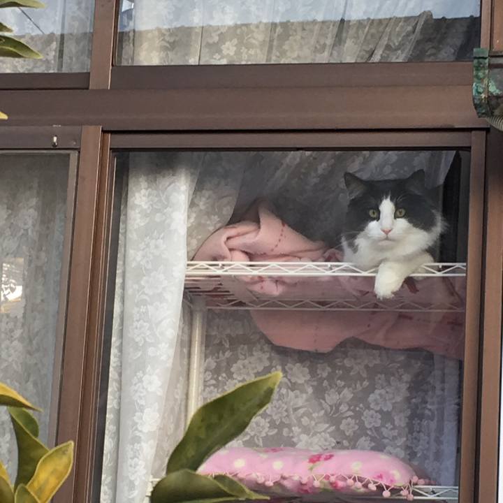 088a6fdc 2956 4390 9484 95f736b65141