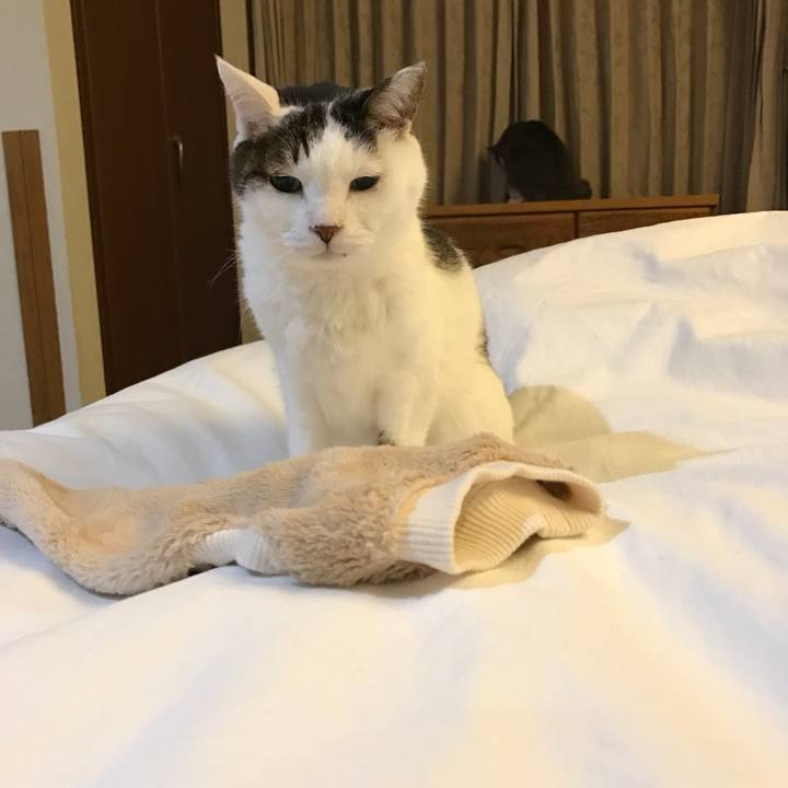 088a9d09 6d54 4f77 9919 e01d017f6f0d