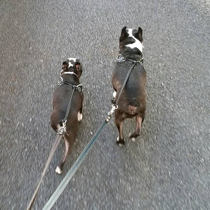 088ac05e dd28 42fe b425 cc30da6ce431