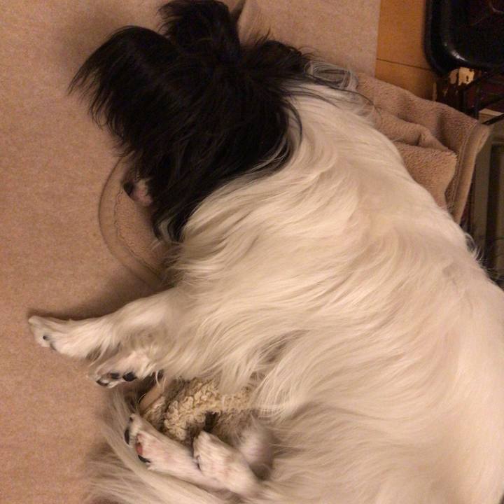 088b0ebc a7d3 4ad6 959f 8e0c8b652a1b