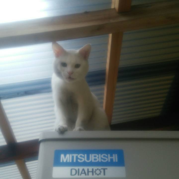 088b4422 acc5 4667 8b50 f46181b71933