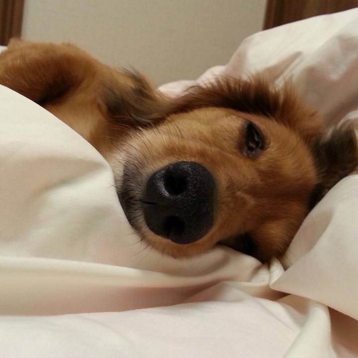 088c97a4 fd38 4ee8 8ca1 c5a8b32ba03c