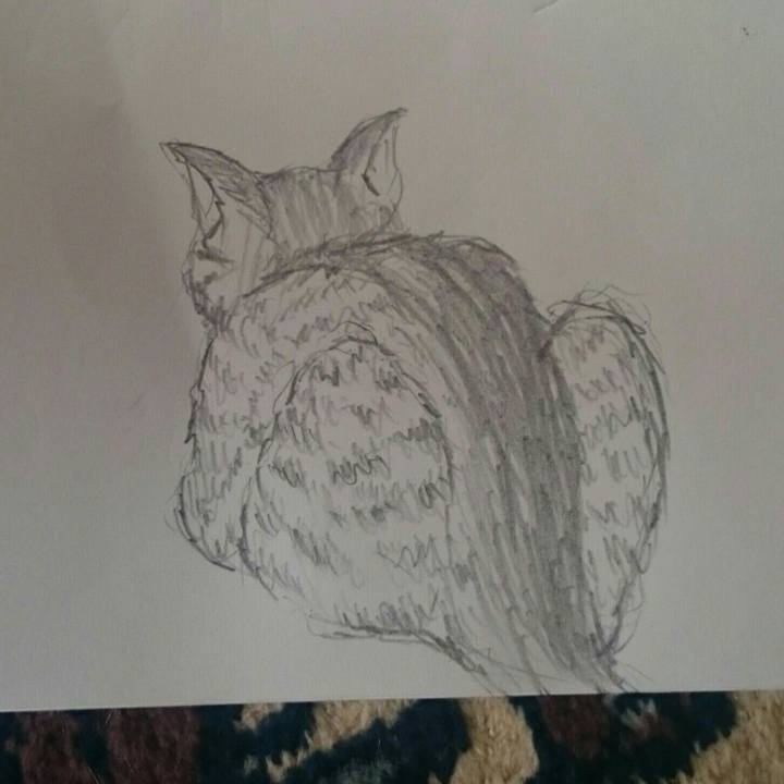 088caf48 cfc7 4252 8d02 9ca7c7678d81